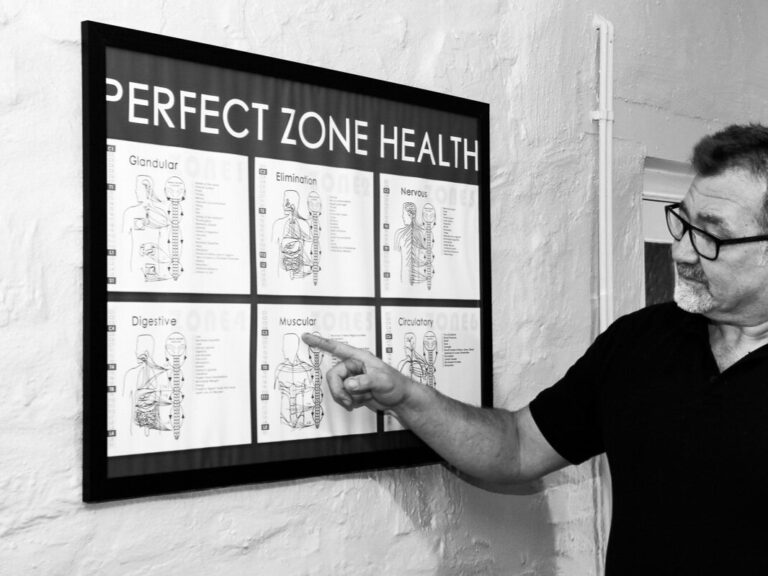 Perfect Zone Health Diagram